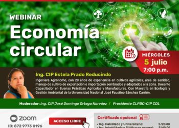 Webinar «Economía circular”