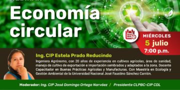 Webinar «Economía circular”