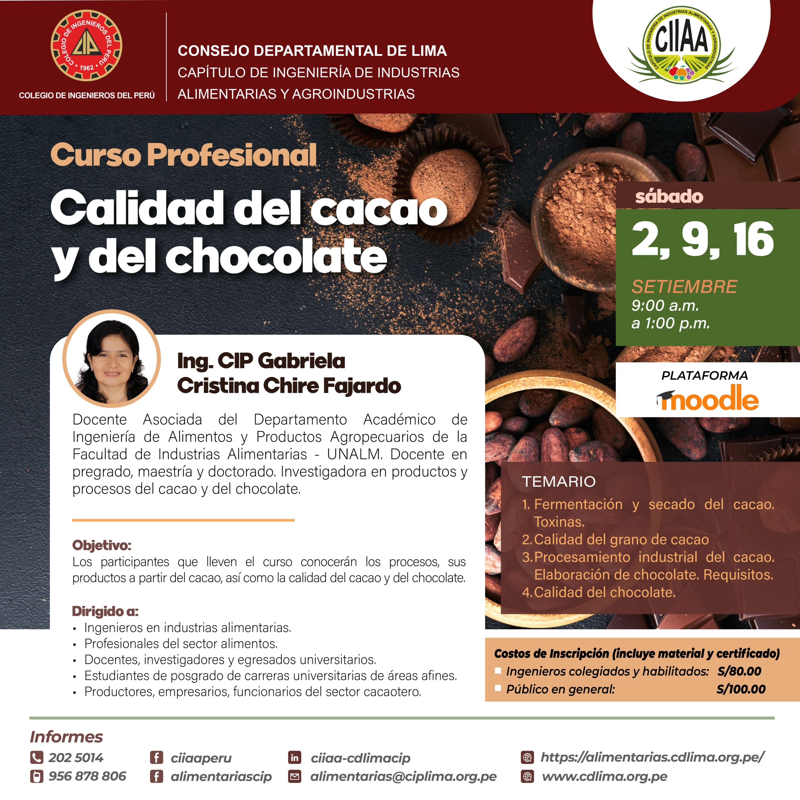 Curso profesional «Calidad del cacao y del chocolate» / Inicio: Sábado 2 de setiembre