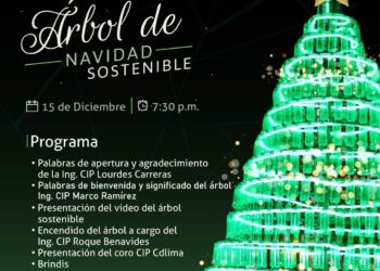 ¡Celebramos la Magia de la Navidad con un Árbol Sostenible!