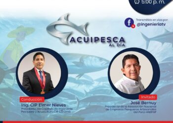 Programa: Acuipesca «Recuperación de la cadena productiva de moluscos bivalvos no pectínidos para exportación a Europa» / Jueves 15 de febrero de 2024 – Desde las 5:00 p.m.