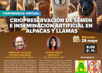 Conferencia virtual «Criopreservación de semen e inseminación artificial en alpacas y llama» – Miércoles 29 de mayo – 6:00 p.m.