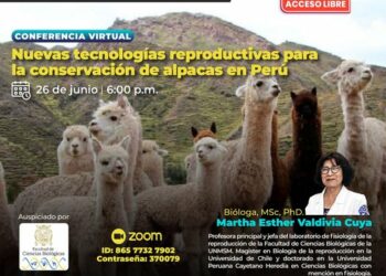 Conferencia virtual «Nuevas tecnologías reproductivas para la conservación de alpacas en Perú» / Miércoles 26 de junio – 6:00 p.m.