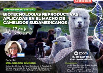 Conferencia virtual «Biotecnologías reproductivas aplicadas en el macho de camélidos sudamericanos» / Miércoles 17 de julio – 6:00 p.m.