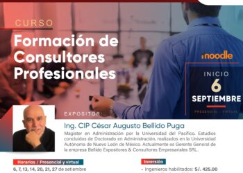 Curso: «Formación de Consultores Profesionales» / Inicio: 6 de septiembre