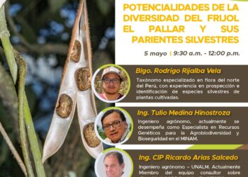 Conferencia «Potencialidades de la diversidad del frijol el pallar y sus parientes silvestres» / Lunes 5 de mayo 9:30 a.m.