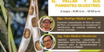Conferencia «Potencialidades de la diversidad del frijol el pallar y sus parientes silvestres» / Lunes 5 de mayo 9:30 a.m.