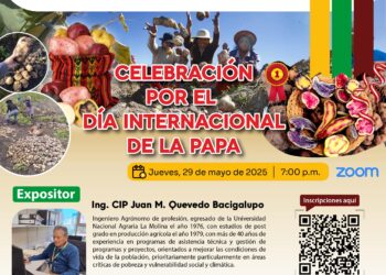 Celebración por el Día Internacional de la Papa / Jueves 29 de mayo – 7:00 p.m.