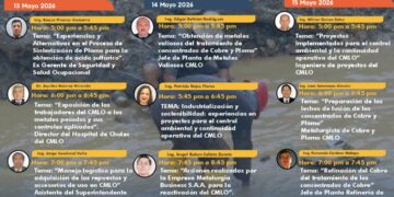 Impulsan debate técnico sobre soberanía metalúrgica en el Perú