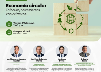 Webinar virtual: ¨Economía circular: Enfoques, herramientas y experiencias¨ / Viernes 29 de mayo