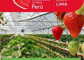 I Congreso Internacional de Fresa – Perú 2026 / Martes 21 de julio