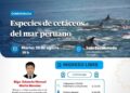 Conferencia: Especies de cetáceos del mar peruano