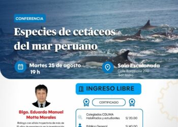 Conferencia: Especies de cetáceos del mar peruano