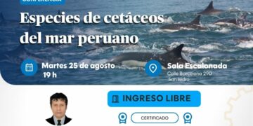 Conferencia: Especies de cetáceos del mar peruano