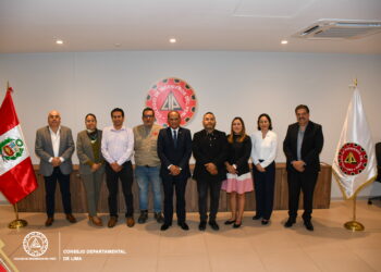 Comisiones Técnicas Especializadas del CIP Lima evalúan avances y definen acciones para el segundo semestre de 2026