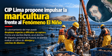 CIP Lima analiza la maricultura como alternativa para diversificar la pesca artesanal frente al Fenómeno El Niño