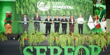 CIP Lima participa en Expo Forestal Perú 2026 para impulsar el aprovechamiento sostenible de los recursos forestales